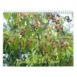 Pflanze im Shore Calendar Kalender