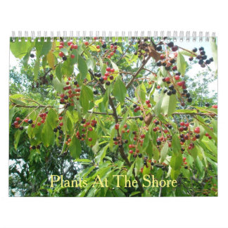 Pflanze im Shore Calendar Kalender