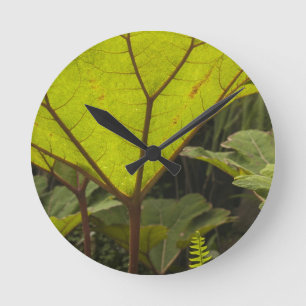 Pflanze in einem botanischen Garten, Ecuador 2 Runde Wanduhr