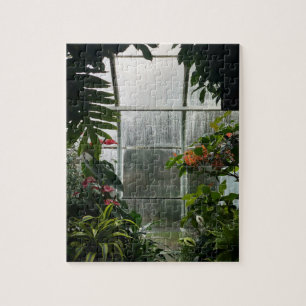 Pflanze in Greenhouse am Regentag
