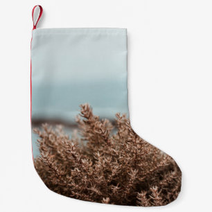 PFLANZE IN NAH-OBEN-FOTOGRAFIE KLEINER WEIHNACHTSSTRUMPF