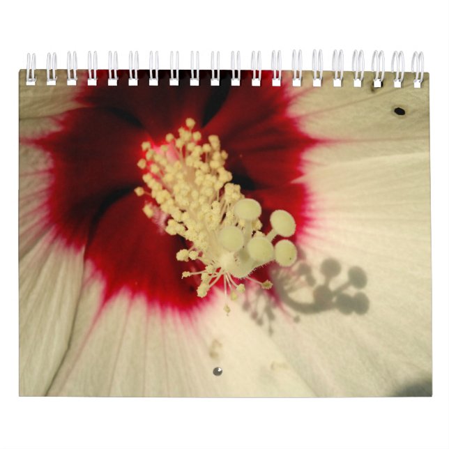 Pflanze Kalender des botanischen Fotos (Titelbild)
