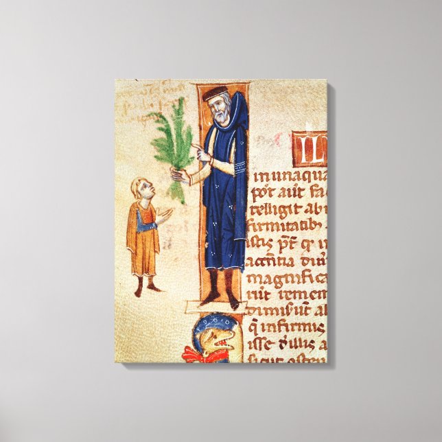 Pflanze Leinwanddruck (Vorderseite)