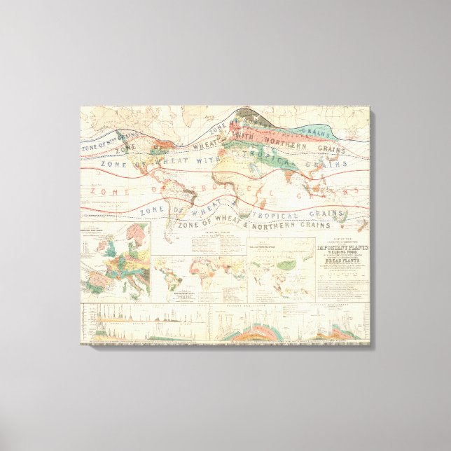 Pflanze Leinwanddruck (Vorderseite)