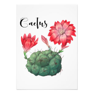Pflanze Lover Cactus Pflanze Fotodruck