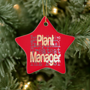 Pflanze Manager Keramik Ornament