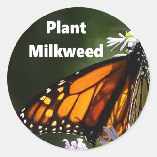 Pflanze Milkweed Runder Aufkleber