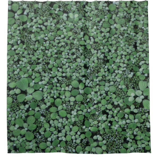 Pflanze mit grüner Blattfarbe Duschvorhang (Vorderseite)