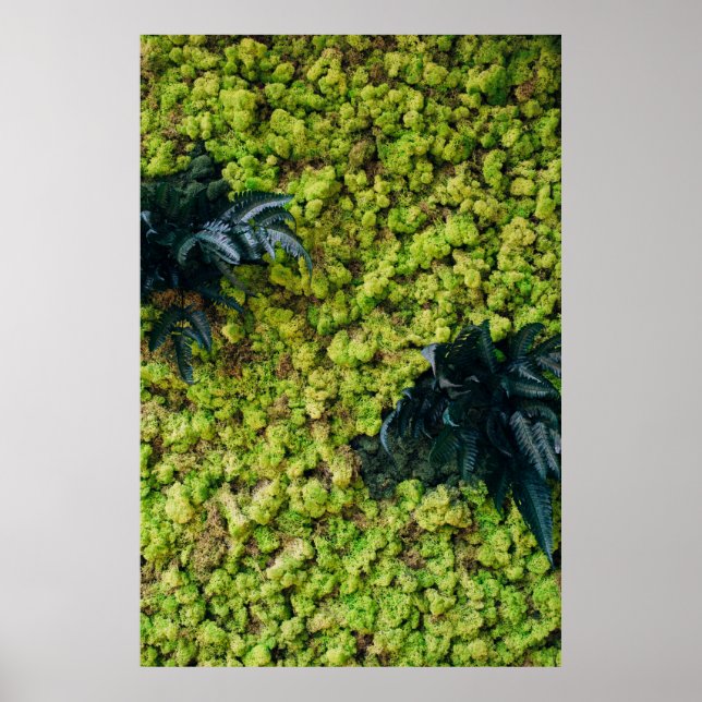 Pflanze mit grüner Blattfarbe Poster (Vorne)