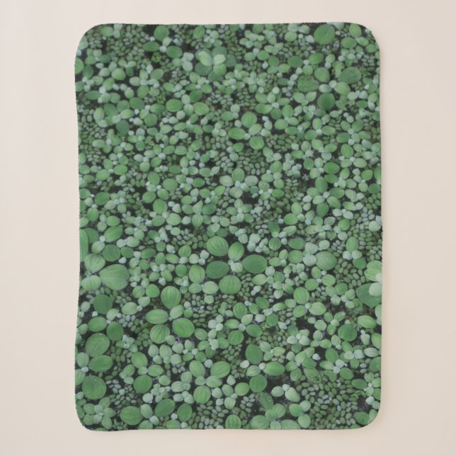 Pflanze mit grüner Blattfarbe Sherpadecke (Vorderseite)