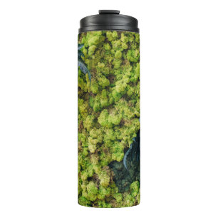 Pflanze mit grüner Blattfarbe Thermosbecher