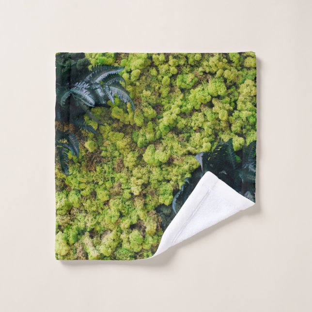 Pflanze mit grüner Blattfarbe Waschlappen (Waschlappen)