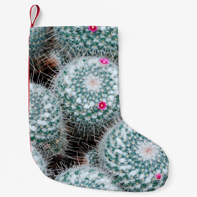 Pflanze mit Tiny Pink Blume Kleiner Weihnachtsstrumpf (Vorderseite)