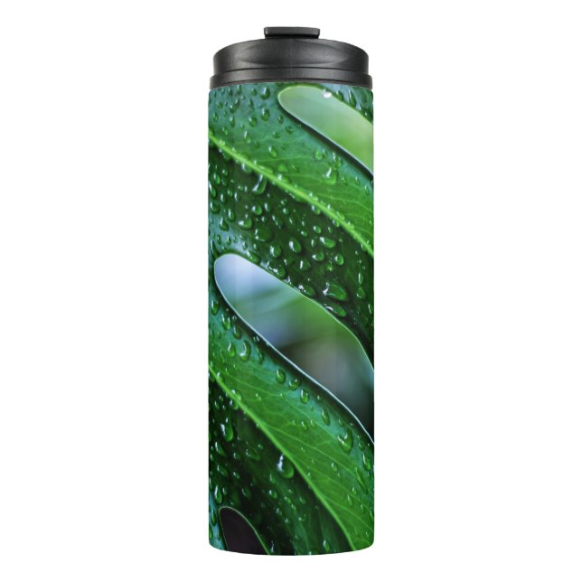 Pflanze Monstera Thermosbecher (Vorderseite)