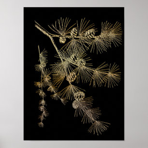 Pflanze Naturkunst Poster