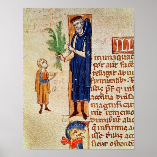 Pflanze Poster (Vorne)