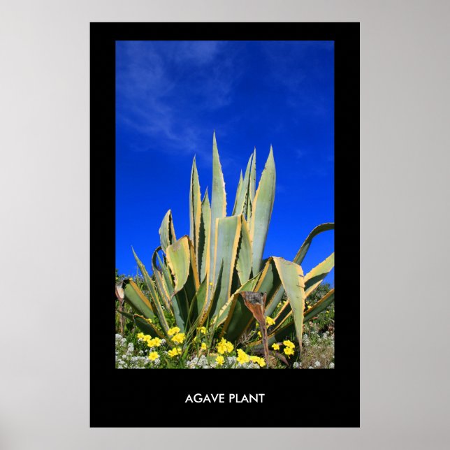Pflanze Poster erhalten, drucken (Vorne)