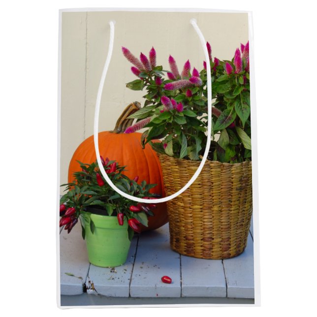 Pflanze Pumpkin und Pepper - Martha's Vineyard Mittlere Geschenktüte (Vorderseite)