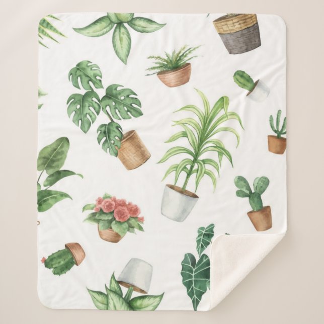 Pflanze Sherpadecke (Vorderseite)