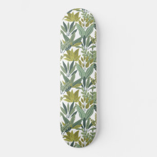 Pflanze Skateboard