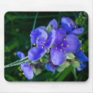 Pflanze Spiderwort im Vollblut Mousepad