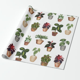 Pflanze Terracotta Pots Muster Geschenkpapier