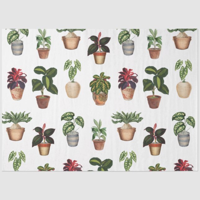 Pflanze Terracotta Pots Muster Seidenpapier (Vorderseite)