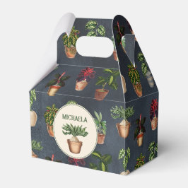 Pflanze Terracotta Pots Rustikal Geschenkschachtel