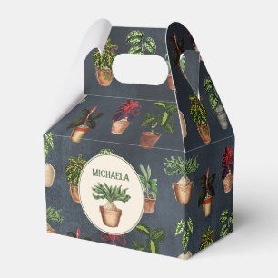 Pflanze Terracotta Pots Rustikal Geschenkschachtel