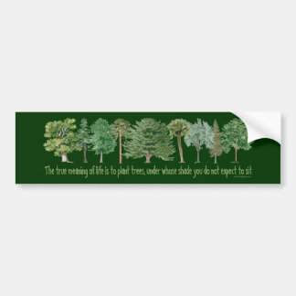 Pflanze Tree Lover, Hugger Autoaufkleber