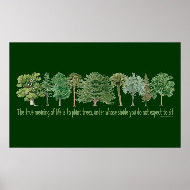 Pflanze Trees Poster (Vorne)