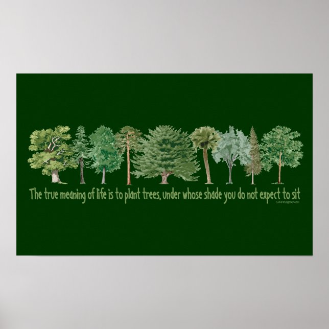Pflanze Trees Poster (Vorne)
