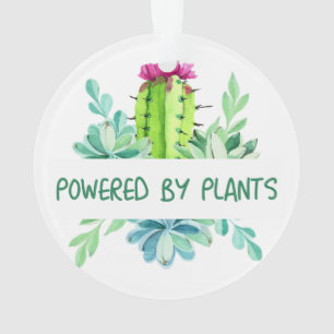 Pflanze und Blume Ornament