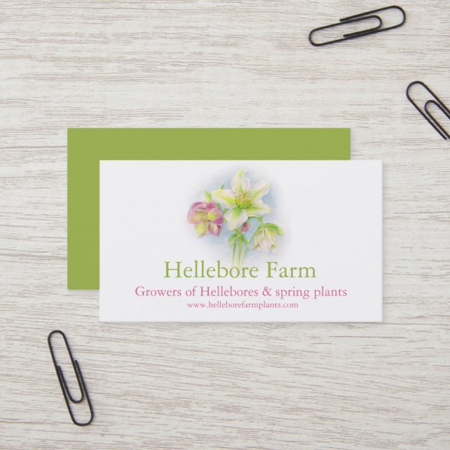 Pflanze von Hellebore Visitenkarte (Vorderseite/Rückseite Beispiel)