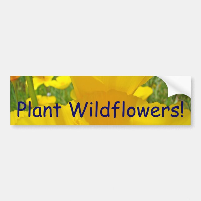 Pflanze Wildblumen! Autoaufkleber Pfeffer (Vorne)