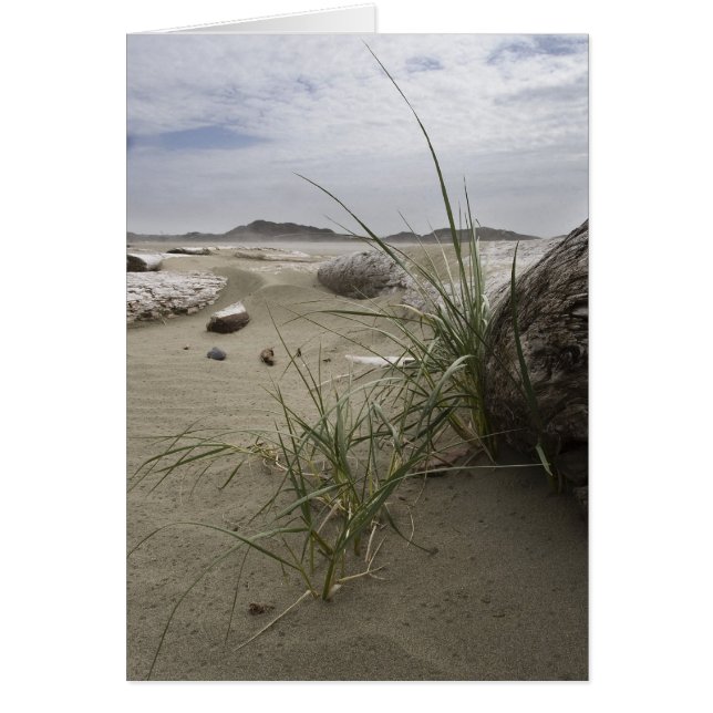 Pflanzen auf dem Strand (Karte) (Vorne)