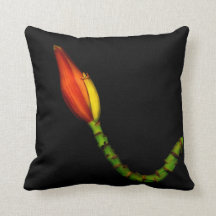 Pflanzen auf Kissen - rote Bananen-Blume