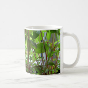 Pflanzen behalten wachsende Samen Kaffeetasse
