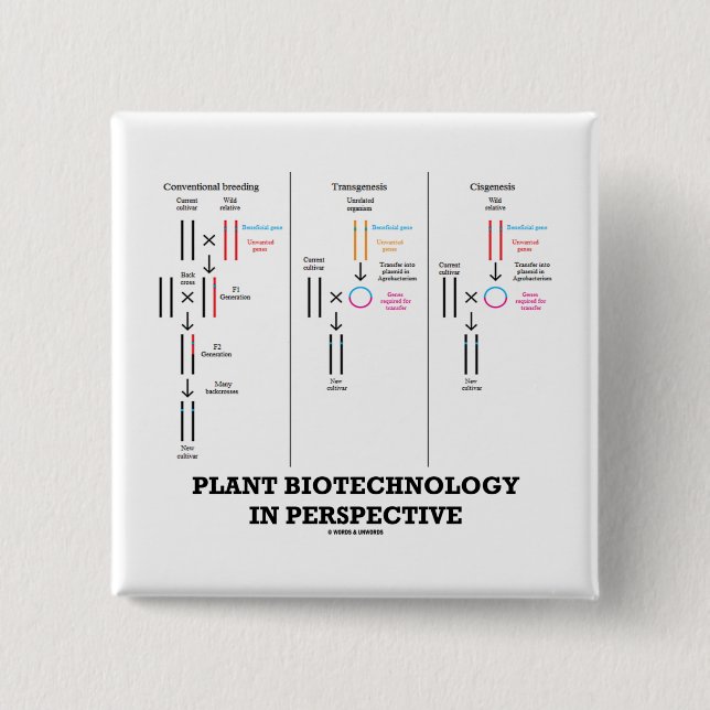 Pflanzen-Biotechnologie in der Perspektive Button (Vorderseite)