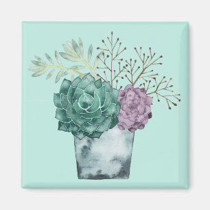 Pflanzen-Glück-Sammlung Succulents Magnet