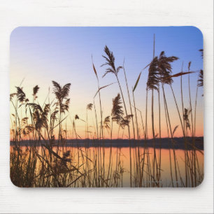 Pflanzen-Silhouette durch Lakesidesonnenuntergang Mousepad