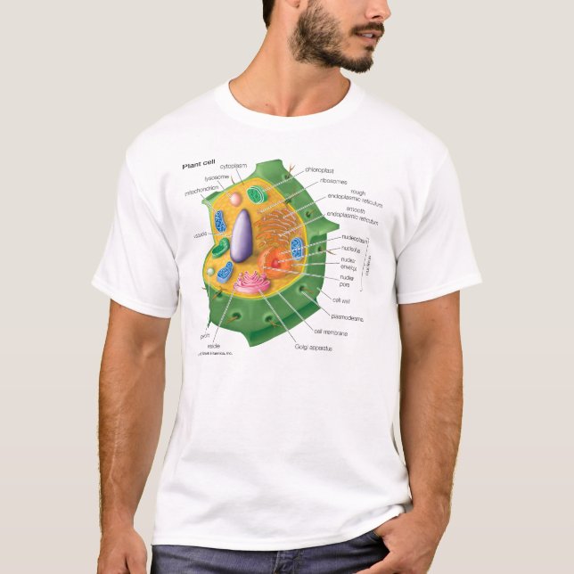 Pflanzen-Zelle ERHALTEN GEBILDET T-Shirt (Vorderseite)