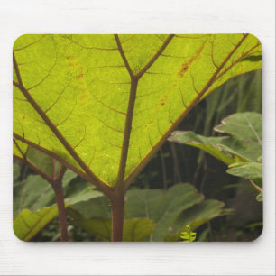 Pflanzendetail in einem botanischen Garten, Ecuado Mousepad