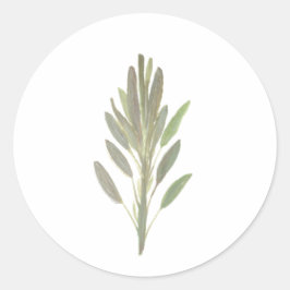 Pflanzenkraut, botanische Pflanze Runder Aufkleber