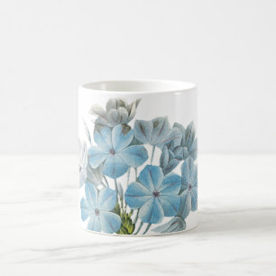 Pflanzenkraut (Plumbago caerulea) von Redouté Kaffeetasse