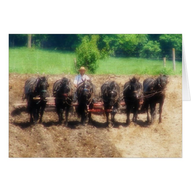 Pflanzzeit (Vorderseite (Horizontal))