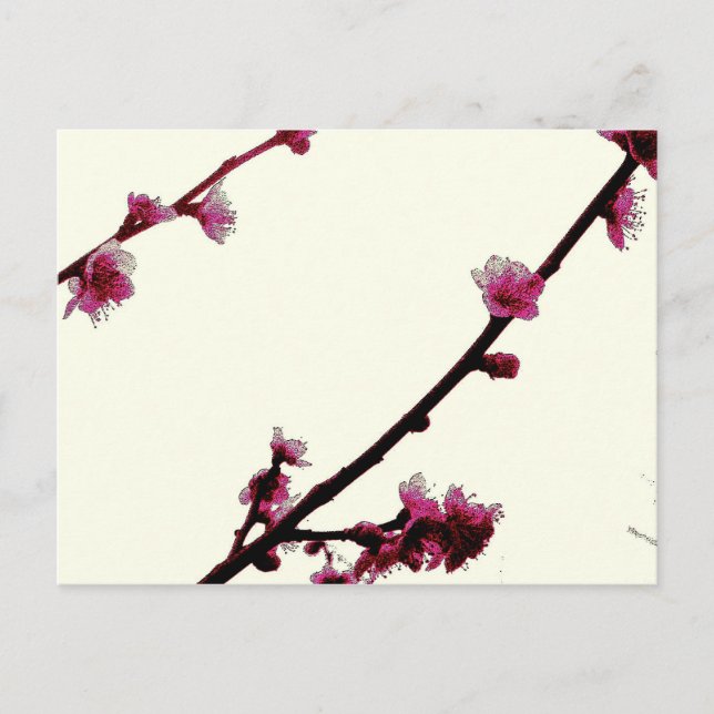 Pflaume Postkarte (Vorderseite)