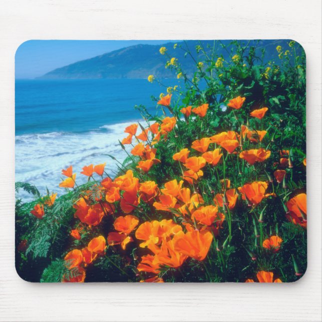 Pflaumen entlang der Pazifikküste bei Big Sur Mousepad (Vorne)
