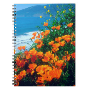 Pflaumen entlang der Pazifikküste bei Big Sur Notizblock