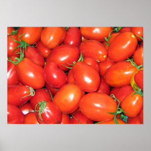 Pflaumen-Tomaten Poster